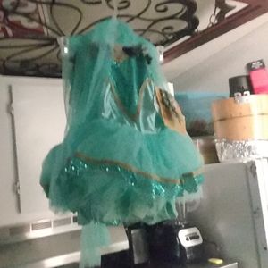 Meet your Posher, Paula